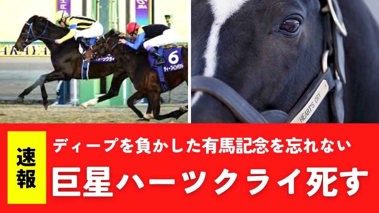 【中央競馬】巨星ハーツクライ死す、ディープを負かした有馬記念を忘れない