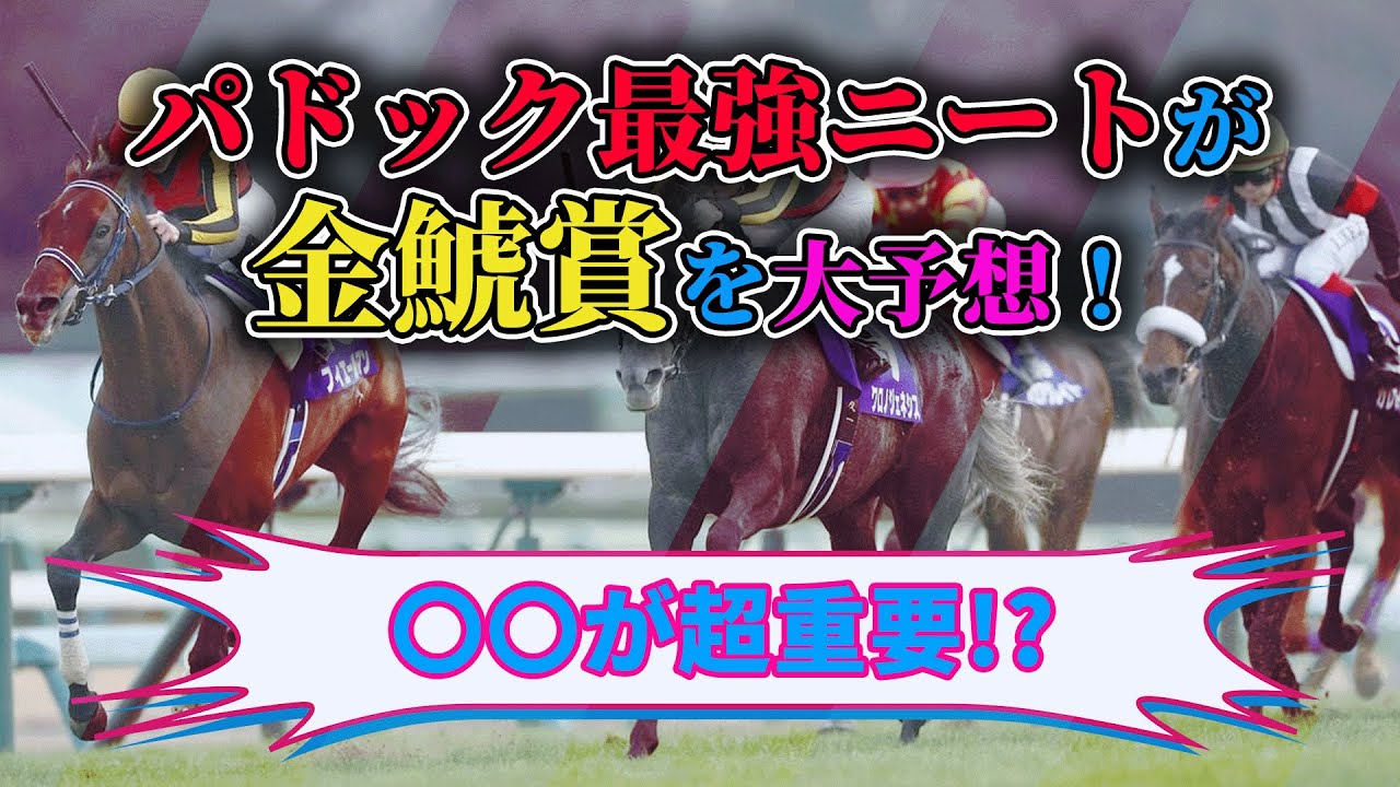 【金鯱賞　2023　予想】ニート大自信の金鯱賞！経験と根拠に基づいた本命馬を解説。#ニート #競馬予想 #パドック #金鯱賞2023 #金鯱賞