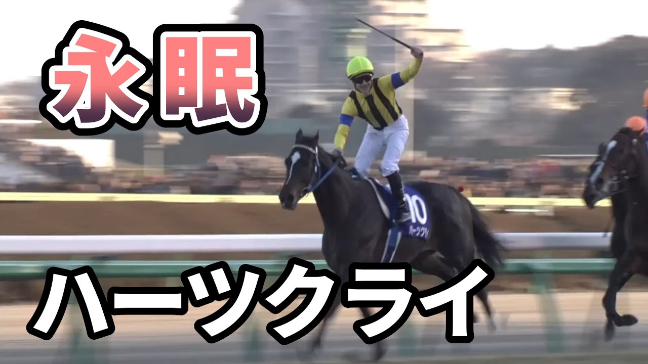 ハーツクライ亡くなる　2005有馬記念でディープインパクトを撃破