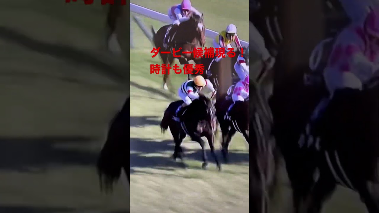 ダービー候補現る！時計も優秀。ゆりかもめレコード