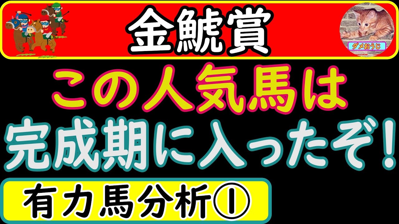 金鯱賞2023年の予想オッズ上位馬分析！プログノーシス・マリアエレーナ・フェーングロッテン