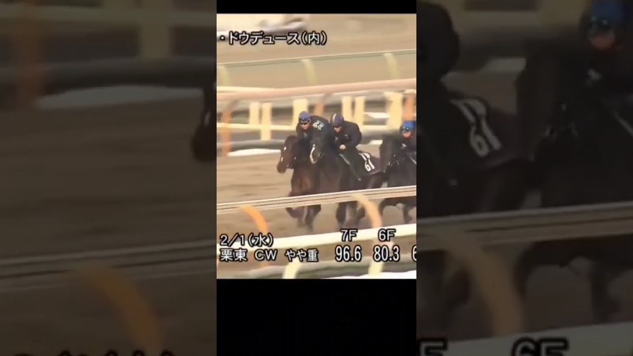 京都記念 ドウデュース2週前追い切り映像 #ドウデュース #京都記念 #武豊 #栗東トレーニングセンター