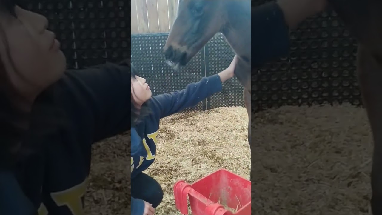 【ダービー馬主】無職の地方競馬【そして伝説へ】2023/03/06