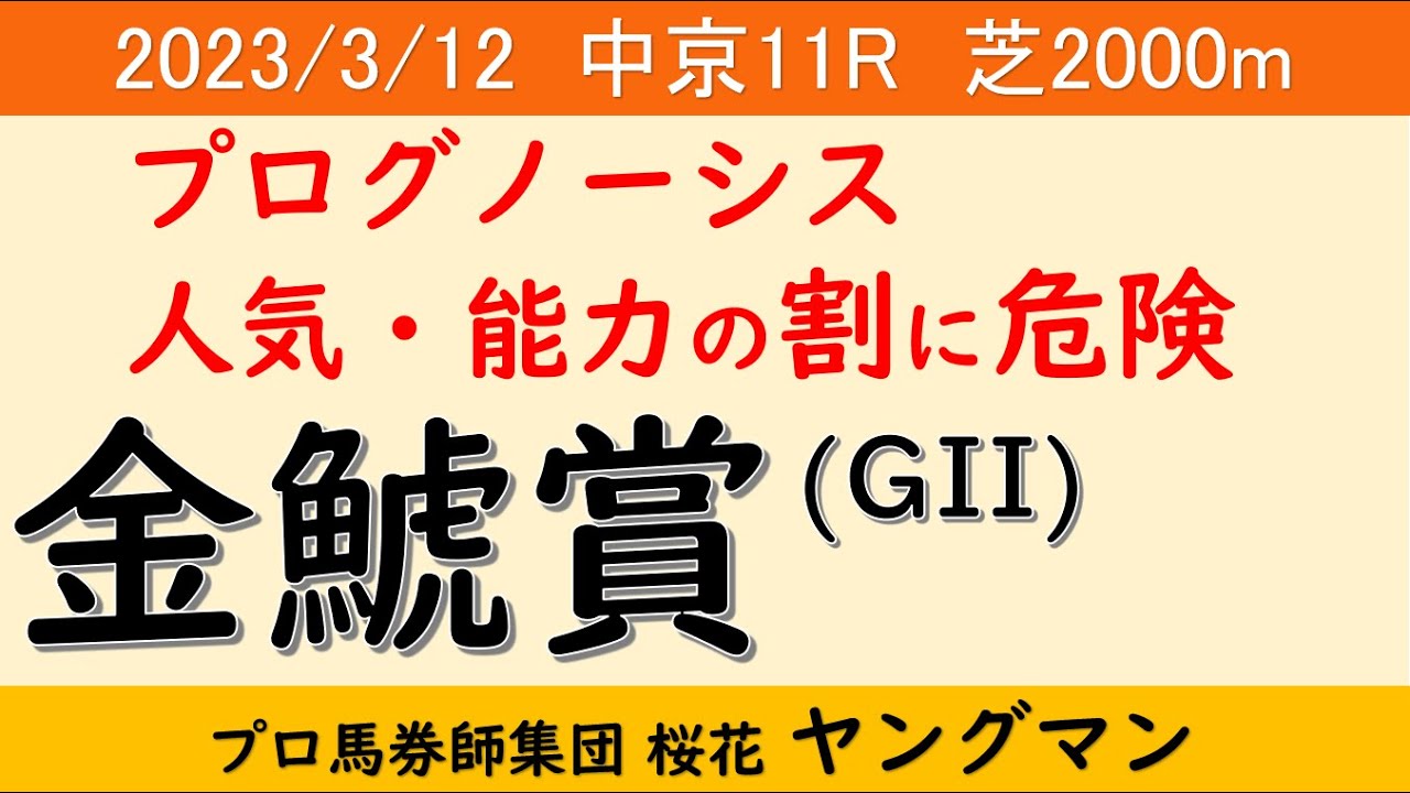 【金鯱賞2023】ヤングマン氏のレース予想！開幕週という事もあり3コーナーから直線正面までかなりの距離内側の芝を張り替えた！！これを考慮した予想をすべき