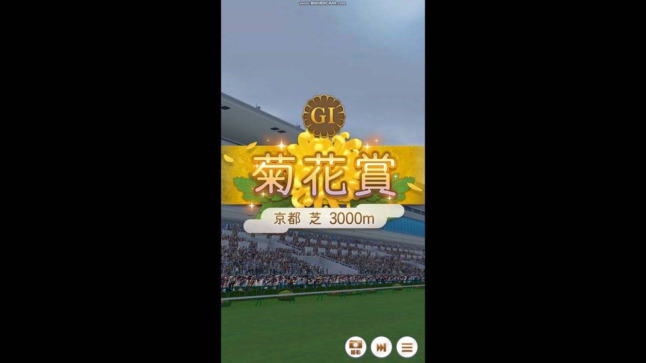 菊花賞 // umamusume Pretty Derby // HD 1080p