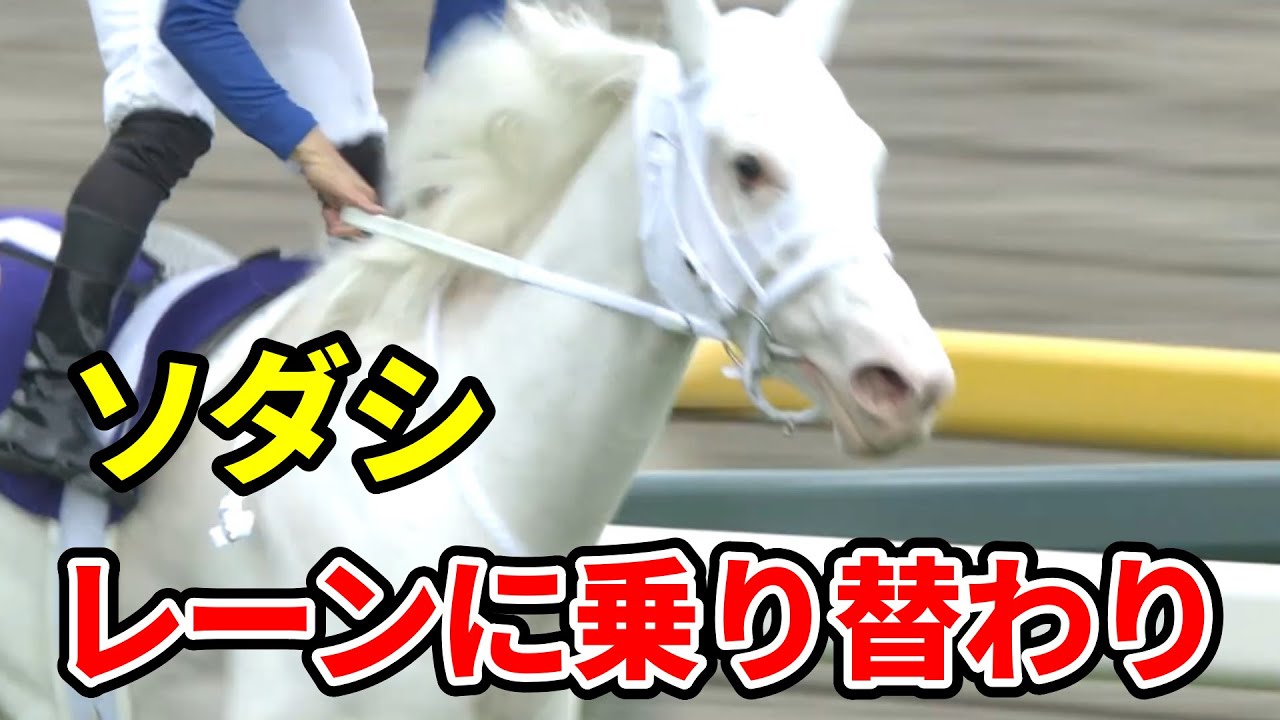 ソダシはレーン騎手との新コンビでヴィクトリアマイルへ