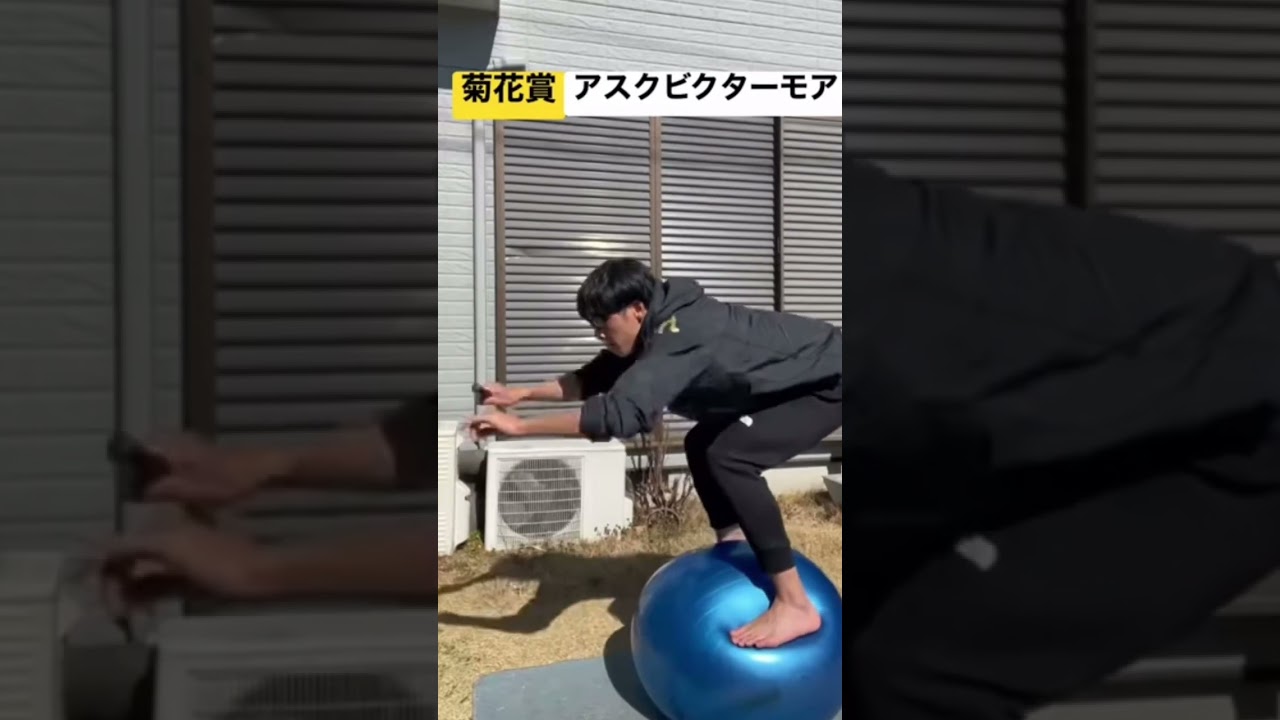 【菊花賞】アスクビクターモアと田辺裕信