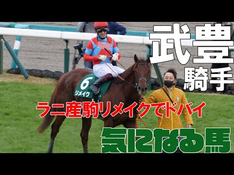 【武豊】ドバイ短距離G1でリメイクに騎乗！ソダシはレーンでヴィクトリアマイルC