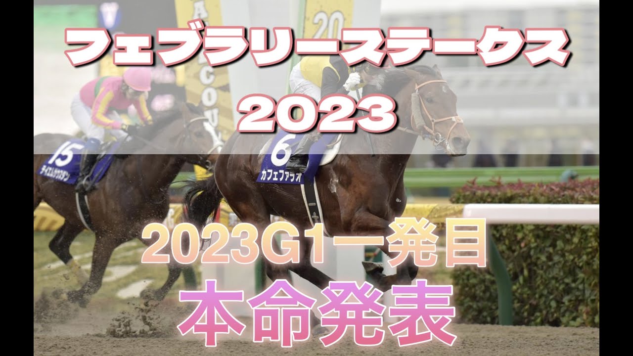 フェブラリーステークス2023 本命発表！