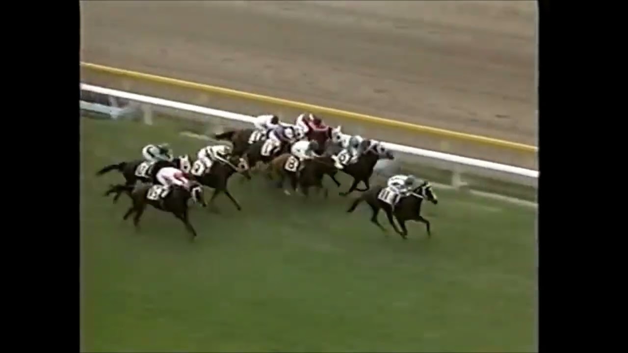 第１７回　４歳牝馬特別（オークストライアル）　リーゼングロス 　牝３　 54 　清水英次　1982.5.2　　出走馬：ユーセコクイン、スイートヘッド、ヤマノシラギク、メジロエニフ、ライラックポイント他