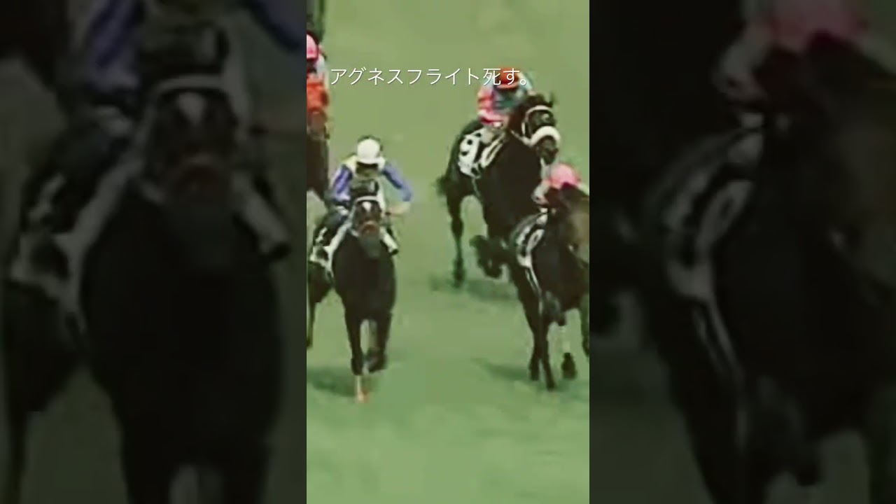 【競馬ニュース】アグネスフライト死す。00年ダービー馬 #一口馬主 #競馬 #競馬ニュース #無料予想 #shorts