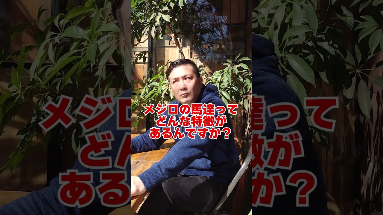 質問来てました！メジロ軍団最強はどの馬ですか？　#shorts #競馬