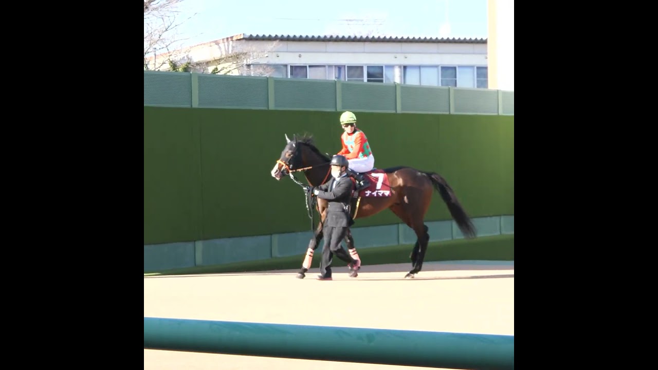 ナイママ、人間の女性に興味を示してしまいレースどころではなかった模様　中山11Ｒ 中山記念