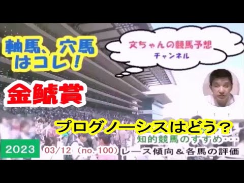 金鯱賞、プログノーシスは勝てる？～文ちゃんの競馬予想