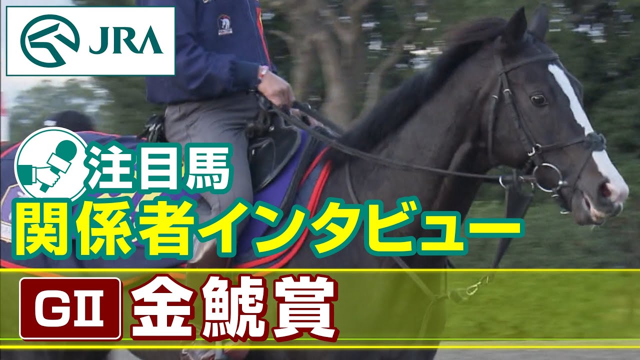 【注目馬 関係者インタビュー】2023年 金鯱賞｜JRA公式