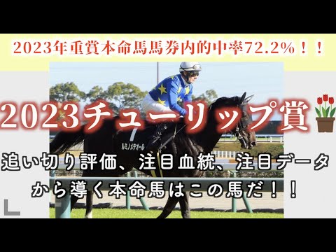 【2023チューリップ賞】ドゥーラ、キタウイングを差し切る素質抜群の本命穴馬はこの馬だ！！！