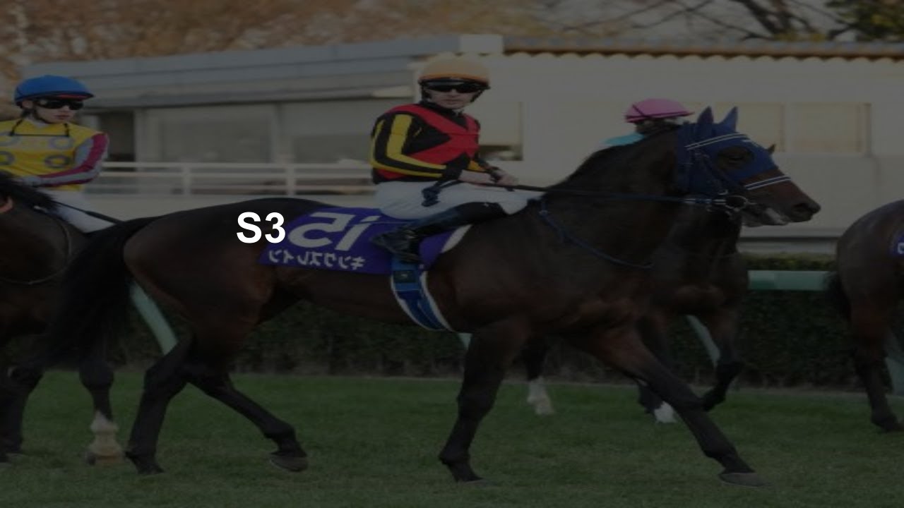 希望に満ちた S3 到着 King's Rain は、発熱のために弥生賞を回避します。