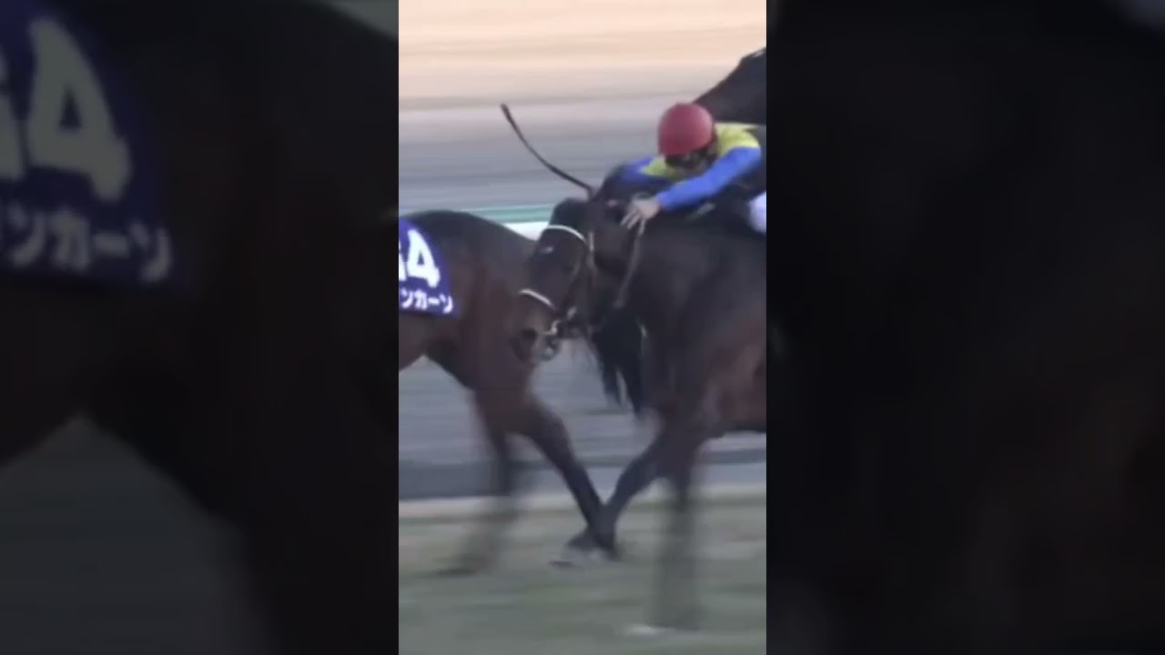 【追悼ハーツクライ】有馬記念2005 ハーツクライ #ハーツクライ #有馬記念 #直線動画 #ルメール #武豊 #shorts