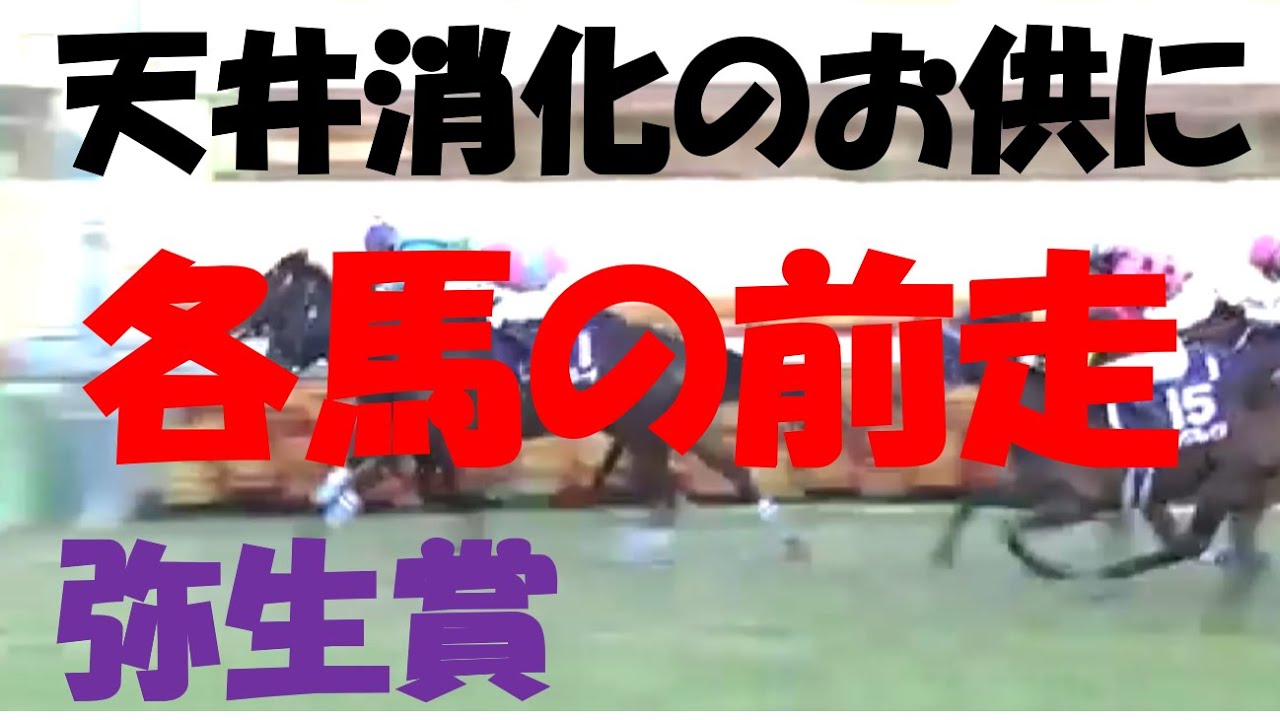 【競馬予想用】自分の為の各馬前走（天井のお供に）#3  弥生賞 競馬編