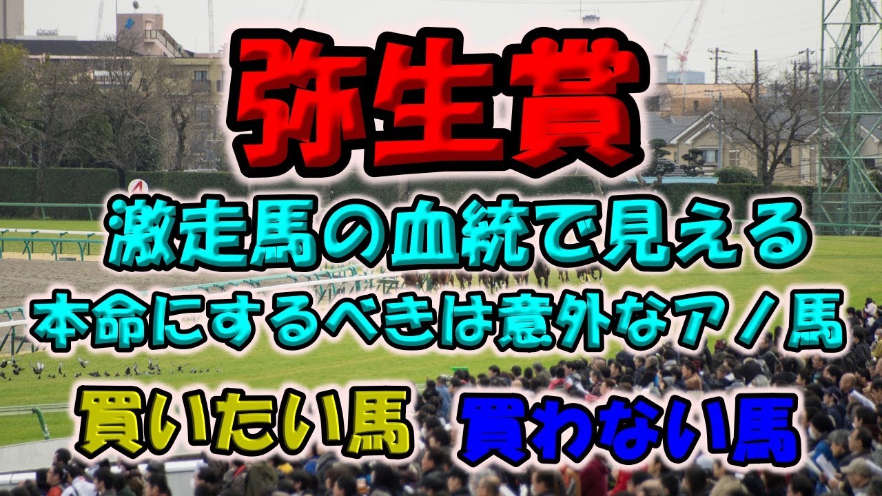 【弥生賞ディープインパクト記念 2023】激走馬の共通点を分析！買うべき馬と買わない馬を考えよう。枠順決定前考察