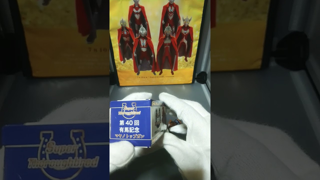 有馬記念マヤノトップガン