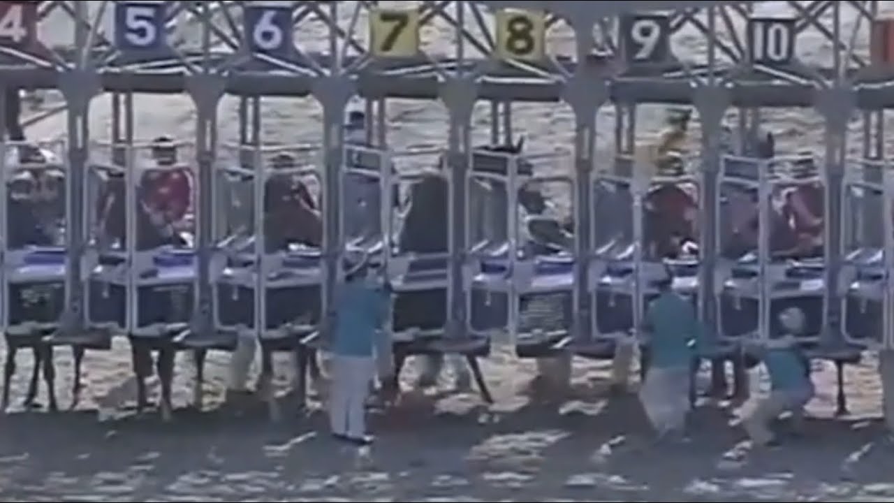 大井競馬さんまたゲートでやらかす(競走取り止め)