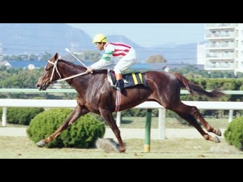 第４２回　桜花賞　リーゼングロス　牝３　55　清水英次　1982.4.11　　出走馬：メジロカーラ、ユーセコクイン、ツキマリー、ベルベットムーン、ダイナフェザー、ウーマンパワー、ツキノトウショウ他