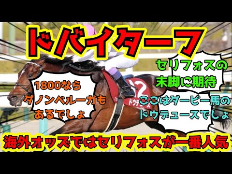 【競馬】ドバイターフ2023 セリフォスが1番人気に!? ネットの反応