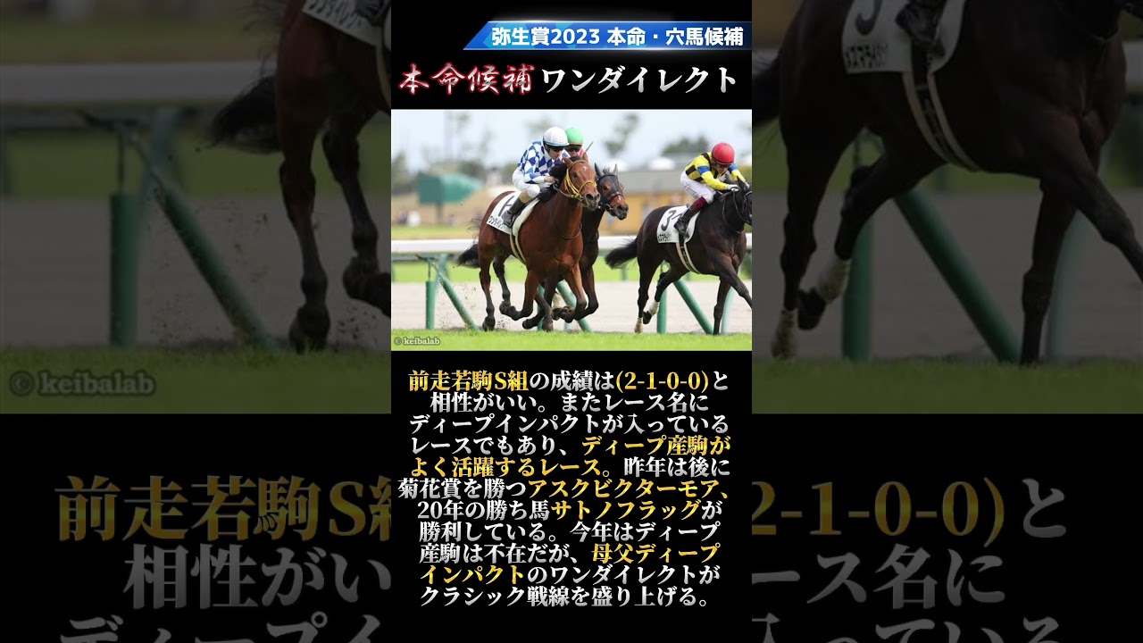 弥生賞2023 本命候補と穴馬候補！皐月賞へ向けての重要な一戦！