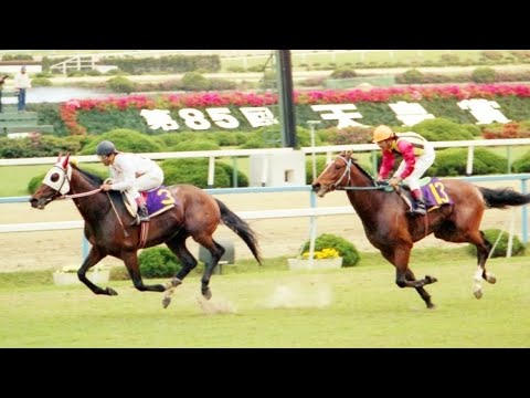 『無冠のプリンスに、果たして春が訪れるか！』第８５回　天皇賞（春）モンテプリンス　牡５　58 吉永正人　1982.4　出走馬：アンバーシャダイ、ゴールドスペンサー、ミナガワマンナ、オペックホース他