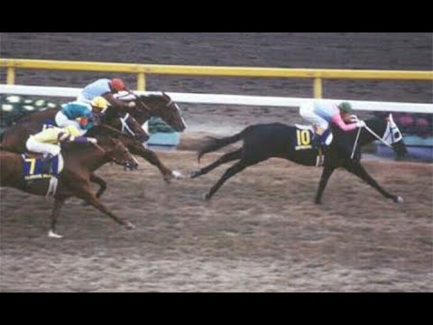 ジャパンカップ　レース集