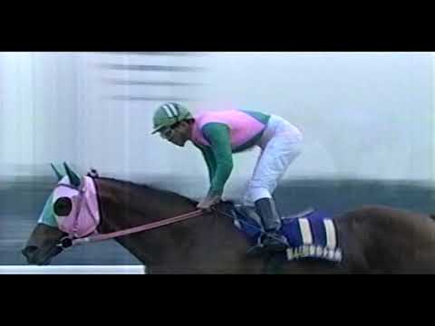 第44回 東京大賞典 （1998/12/23） 大井競馬 アブクマポーロ