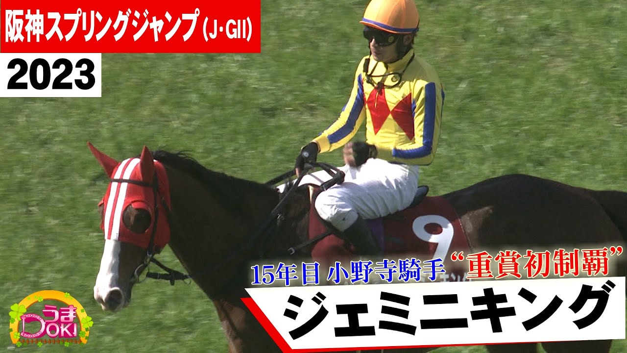 2023年  阪神スプリングジャンプ（Ｊ・ＧⅡ）ジェミニキング（小野寺 祐太 騎手）　小野寺騎手が15年目にして初重賞制覇【うまＤＯＫＩ】