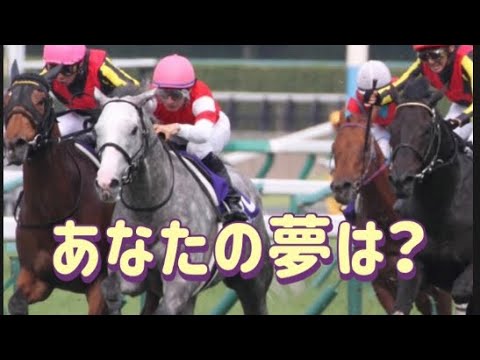 豪華メンバーの宝塚記念パドック見てきたがなw