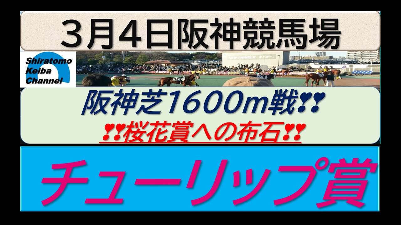【競馬予想】GⅡチューリップ賞　桜花賞へ加速！～2023年3月４日 阪神競馬場 ：３－６