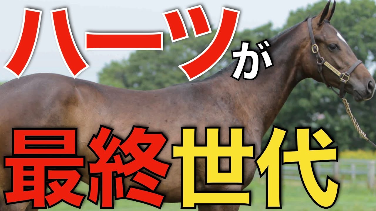 【35頭のみ】今年はハーツクライがラストクロップ！良血揃いで大物出そう。
