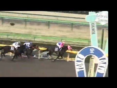 フェブラリーステークス【かなりの悪画像】1着メイショウボーラー号（福永祐一騎手）&パドック（個人撮影）2005年2月20日（日）東京競馬場