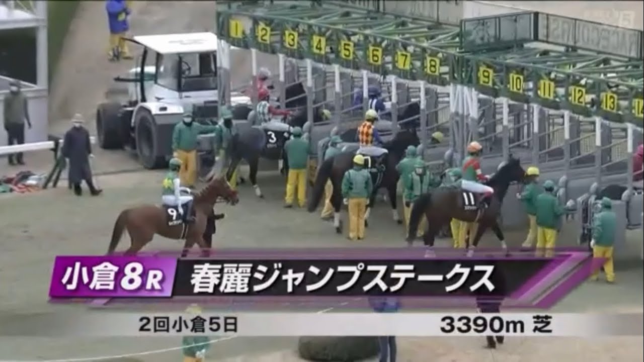 春麗ジャンプステークス［2023.2.25 小倉第8R/3390m 芝］