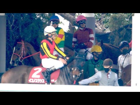【武豊】枠入りが遅れに遅れる！憮然とするレジェンド、大物馬主もブチ切れ