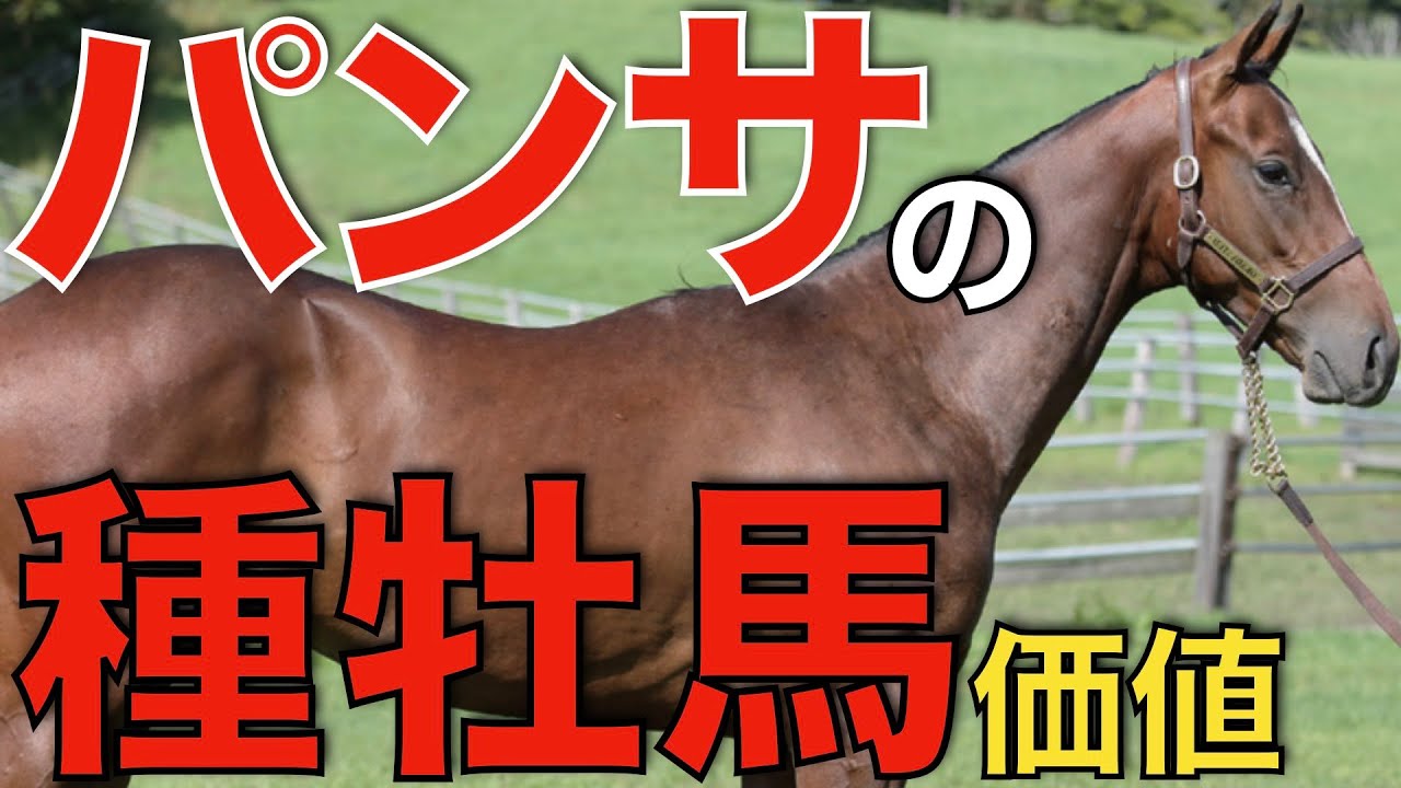 【世界向き】サウジ勝利馬たちの種牡馬価値を考察！異例の実績はどう評価されるのか。