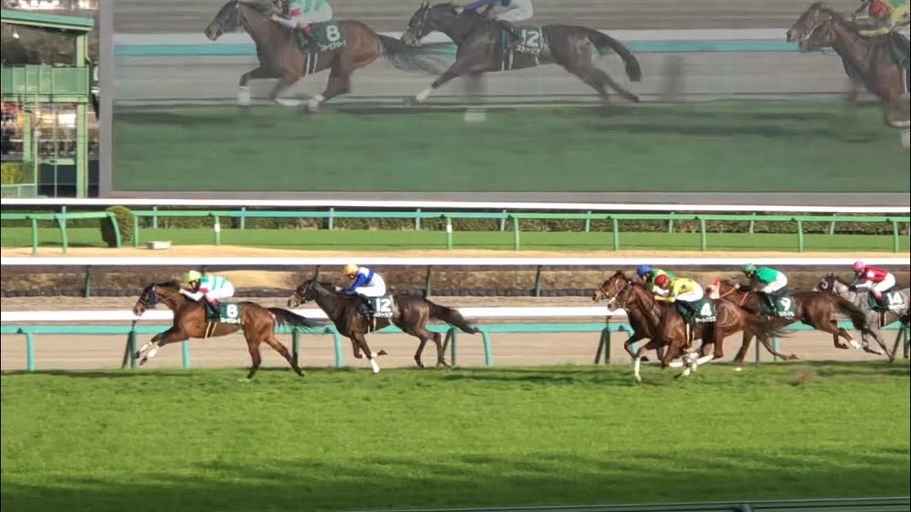【現地】スルーセブンシーズ 2023 中山牝馬S