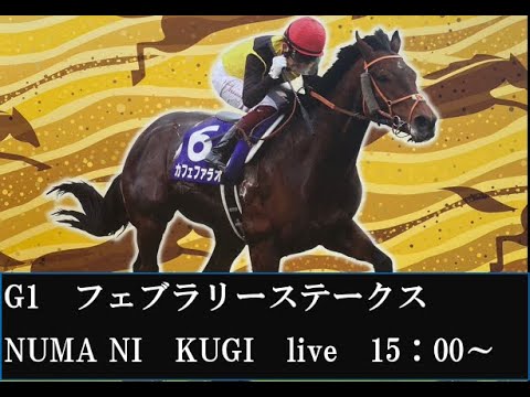 G1　フェブラリーステークス　NUMA NI　KUGI　雑談生配信！！