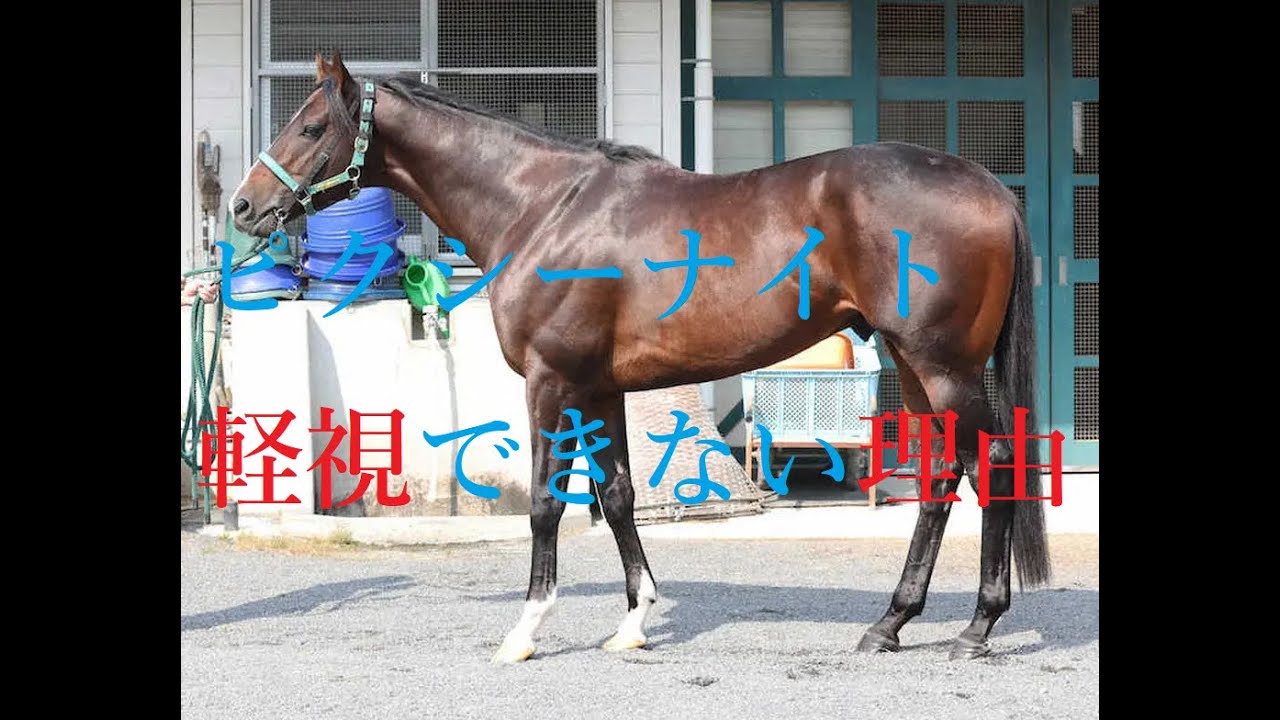 高松宮記念 2023 ピクシーナイト復活の可能性は？致命的な２つのリスク 希望となる材料