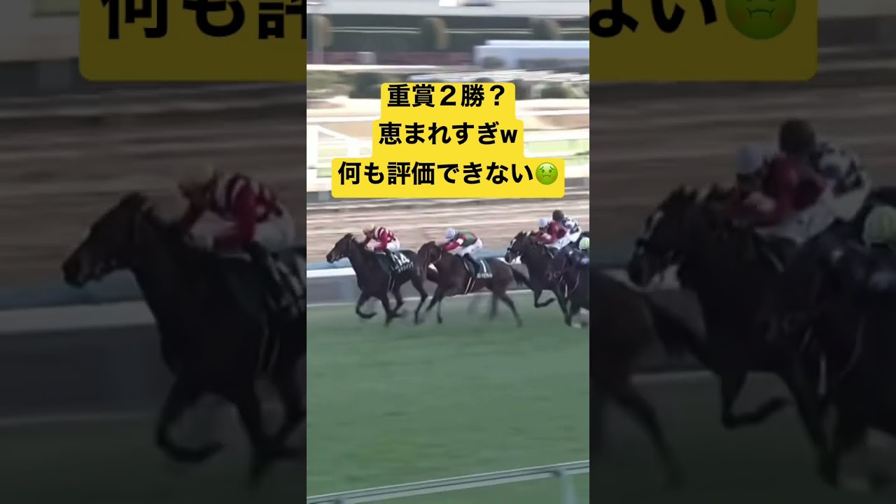 チューリップ賞だけどキタウイングなんてくるワケねーだろwww #競馬 #競馬予想 #チューリップ賞 #キタウイング@user-xh8ju6tz8j