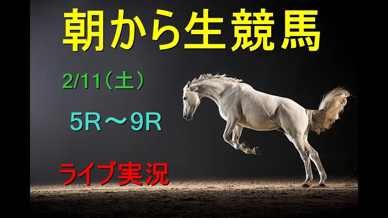 【中央競馬】朝から生競馬　ライブ配信　（小倉→阪神→東京）Horse Racing Commentary
