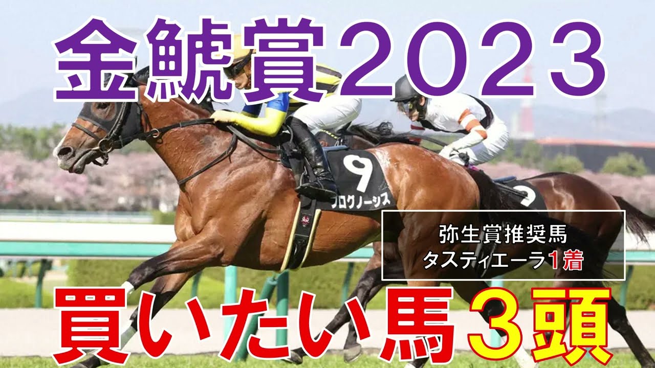 金鯱賞 2023 買いたい馬3頭 混戦模様だからこそ狙いたい馬＋穴馬1頭