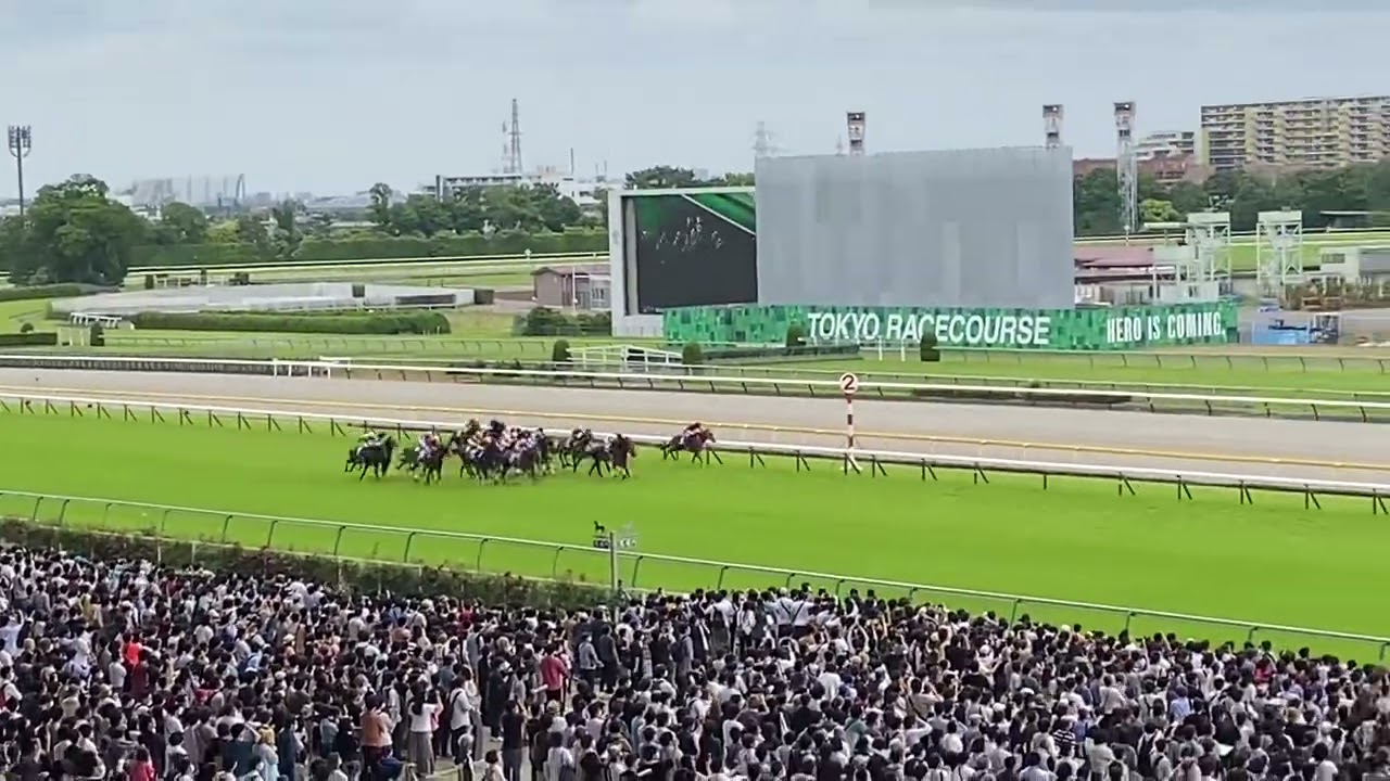 第72回 安田記念 【2022/06/05】