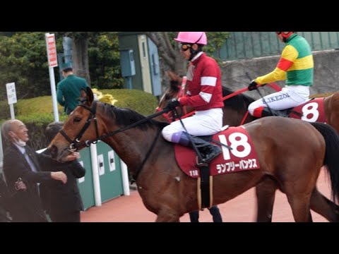 【武豊】ランフリーバンクス帰還！今日は終始ニコニコの渡辺久信（森秀行調教師）