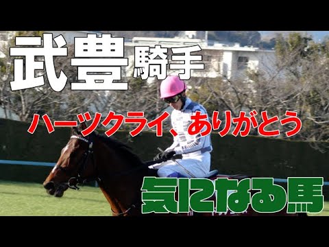 【武豊】ありがとう！ハーツクライ！阪神フィリーズレビュー（ランフリーバンクス）土曜阪神7鞍、日曜阪神5鞍に騎乗