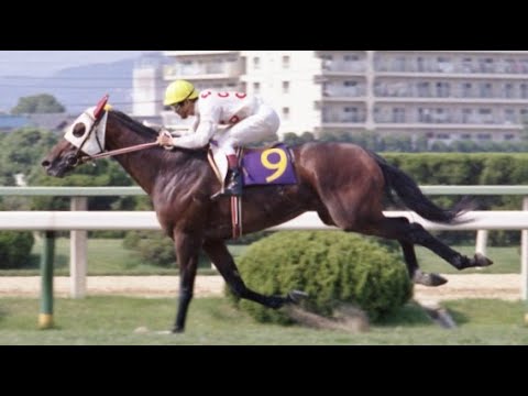 『白い頭巾、外から二頭目！』第２３回　宝塚記念　モンテプリンス　牡５　57　吉永正人　1982.6.6　出走馬：カツアール、キョウエイプロミス、ゴールドスペンサー、サクラシンゲキ、メジロティターン他